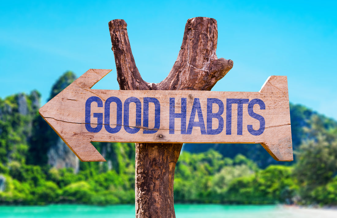 Healthy Habits to Include in Your Everyday Routine