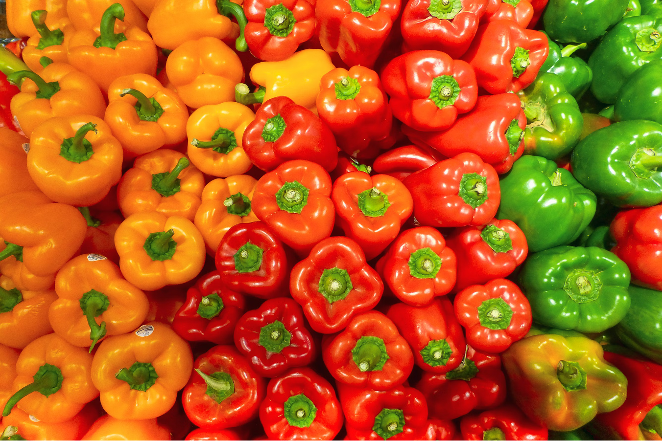 Capsicum Fruit Extract