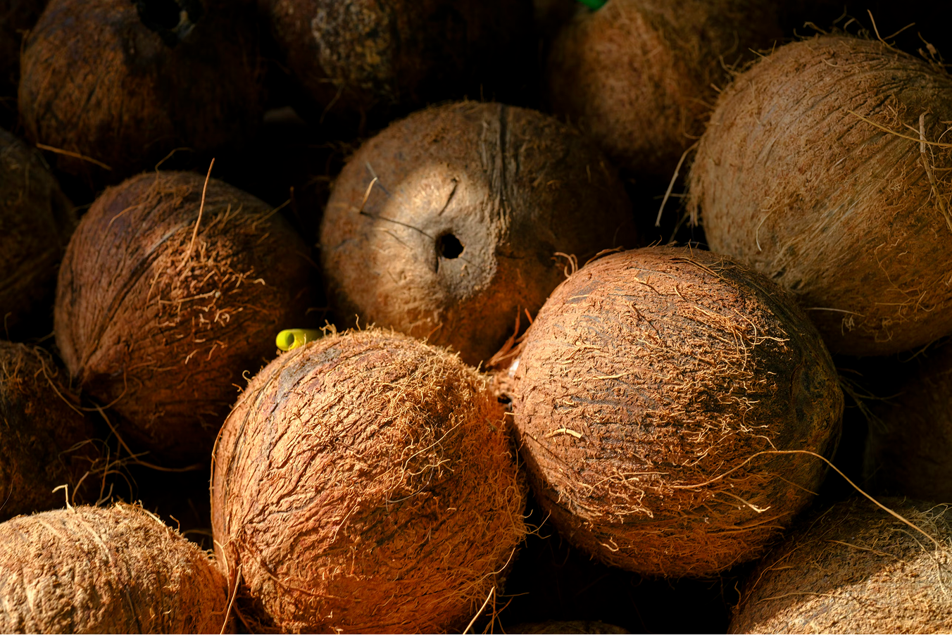 Coconut Oil