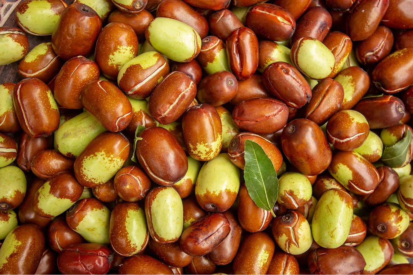 Jojoba Seed Oil