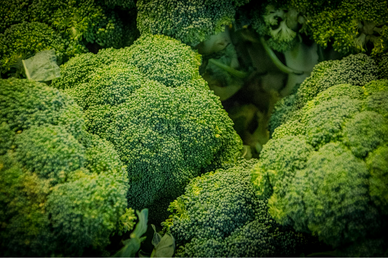 Vitamin K1